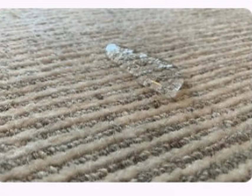 Water beading on a protected viscose area rug