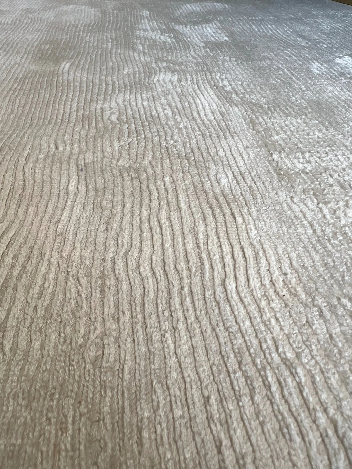 Area Rug Cleaning and Protection