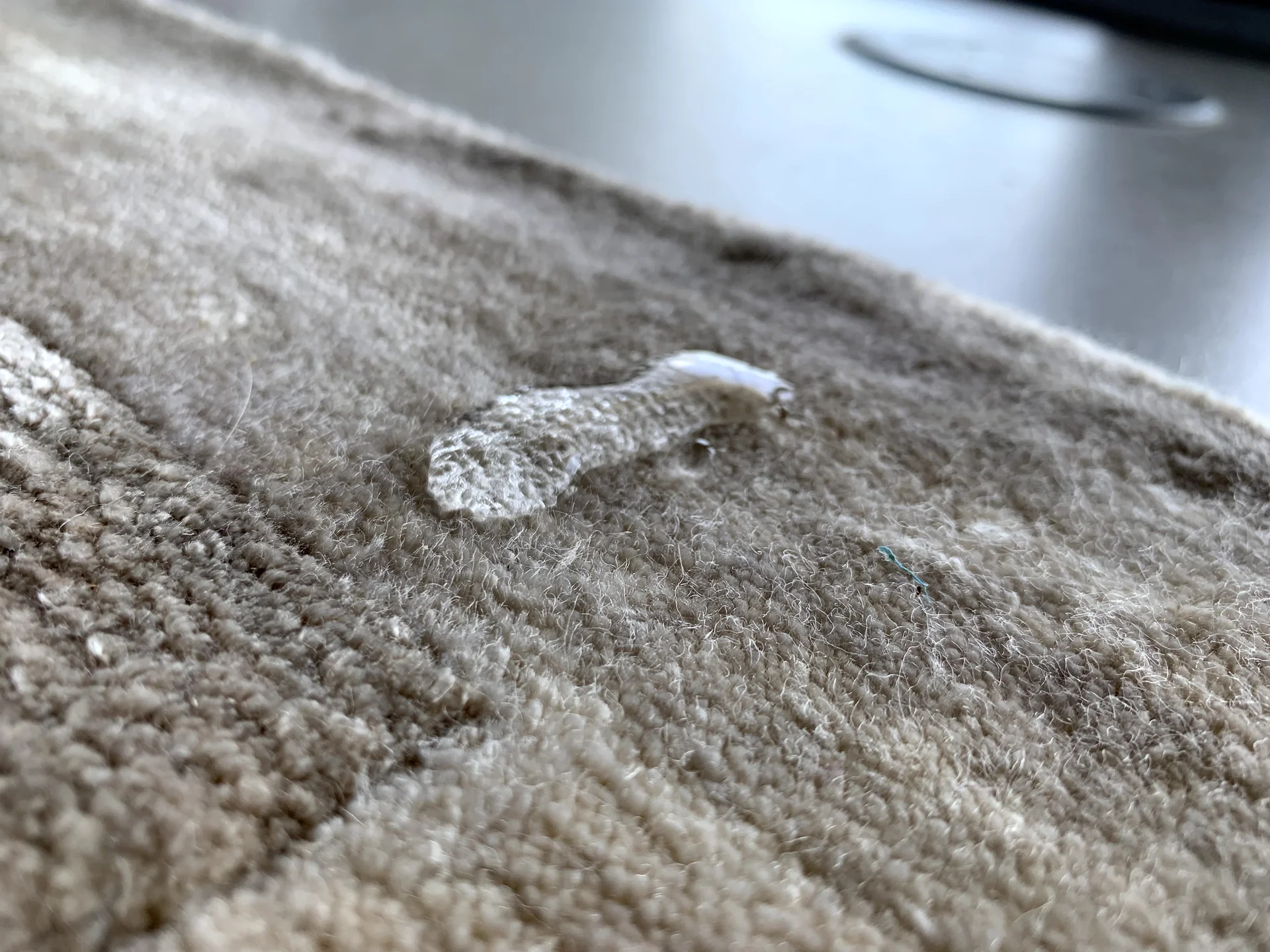 Area Rug Cleaning and Protection