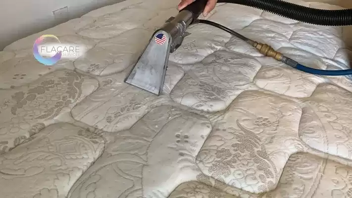 Flacare work
