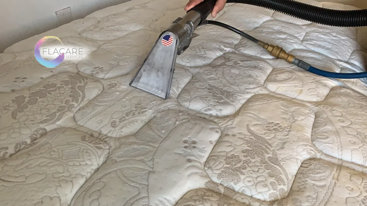 Carpet cleaning