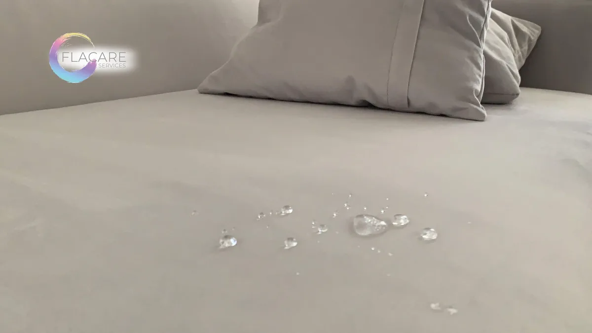 Protected sofa surface